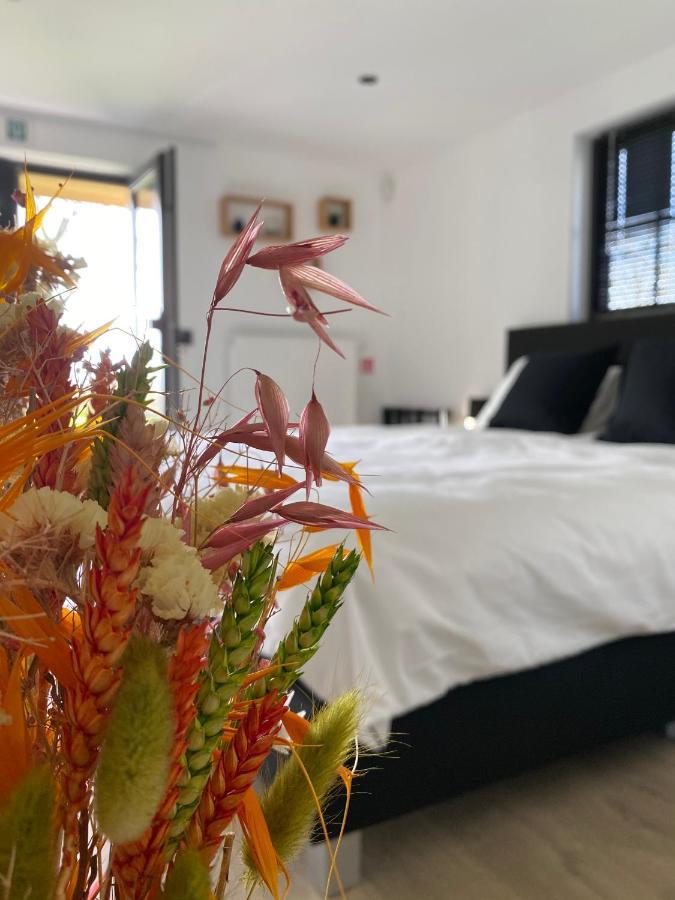 Damse Paveljoentje Comfort En Uitzicht In Damme Esterno foto