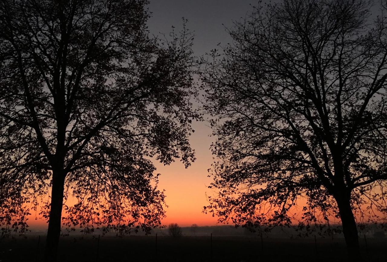 Damse Paveljoentje Comfort En Uitzicht In Damme Esterno foto
